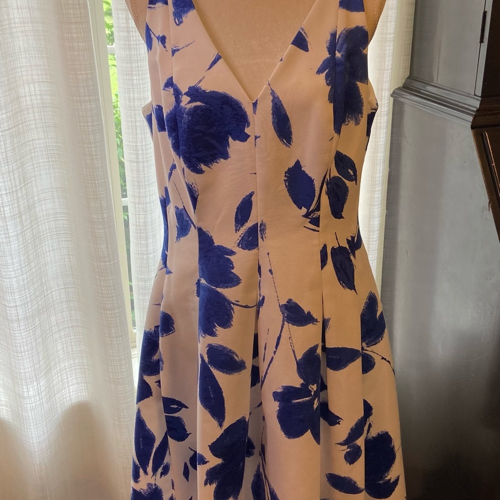 Ralph Lauren blue flower dress.
